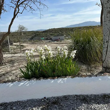 Cuevas Tiana Apartamento *