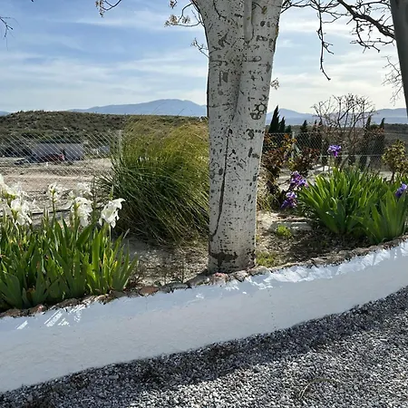 Cuevas Tiana Apartamento El Aljibete