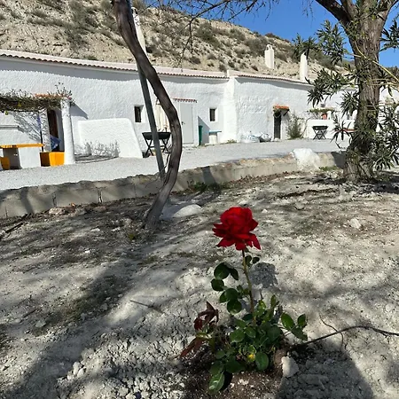 Apartamento Cuevas Tiana El Aljibete